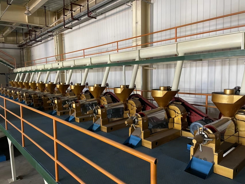 20T-250T/D rapeseed and sunflower seed complete oil pressing equipment production line(图3)