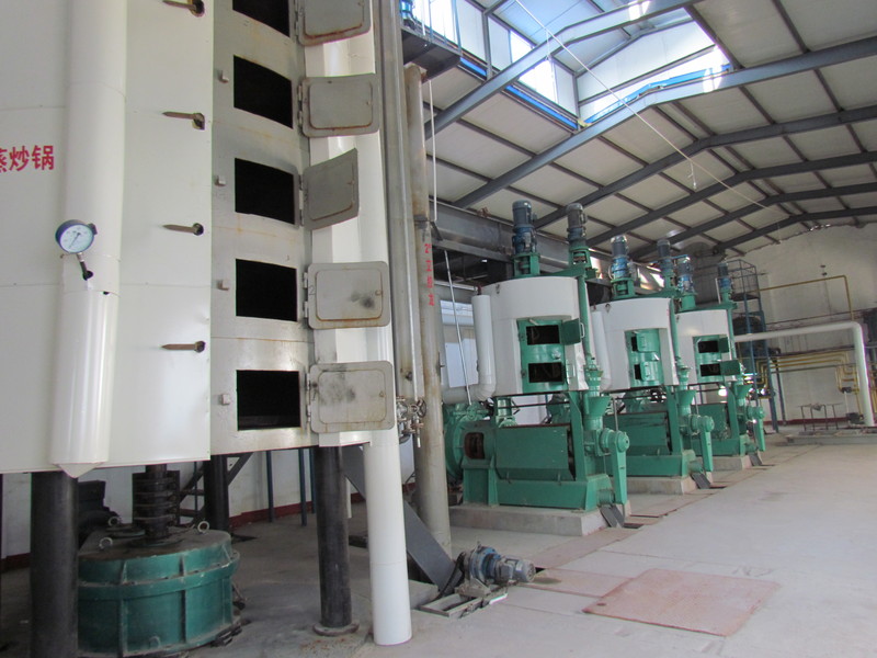 20T-250T/D rapeseed and sunflower seed complete oil pressing equipment production line(图5)