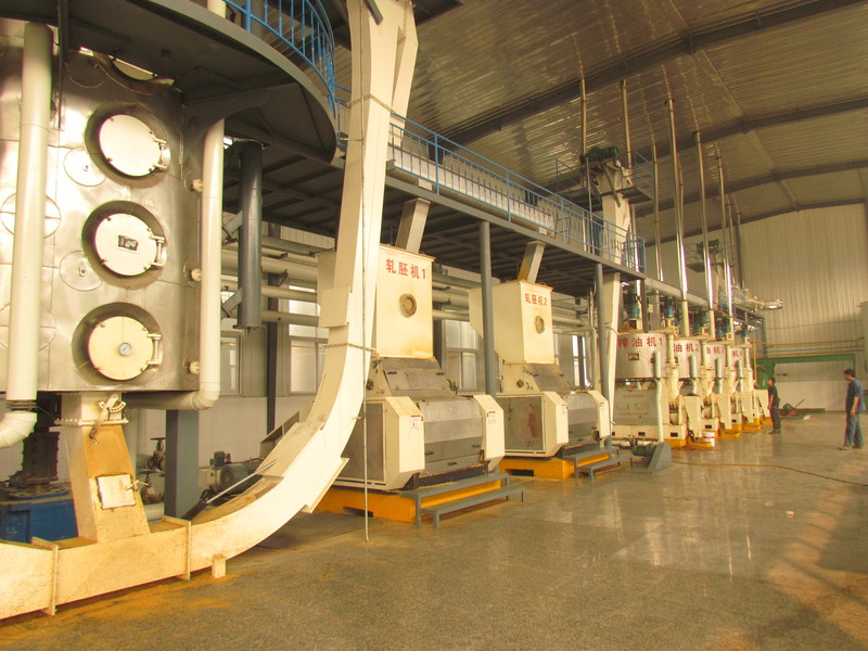 20T-250T/D rapeseed and sunflower seed complete oil pressing equipment production line(图6)