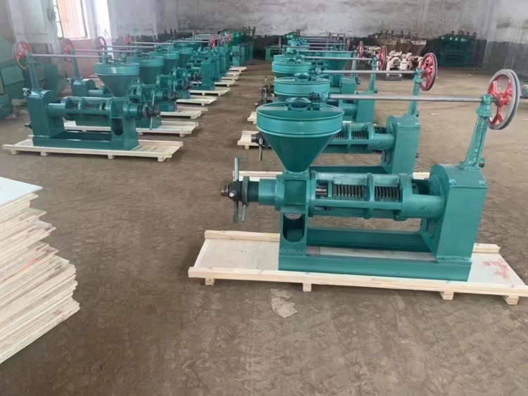 Congo customer orders 200 units of 6YL-100 double screw oil press(图1)
