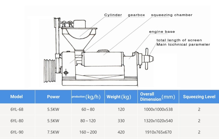 6YL-100 screw oil press(图1)