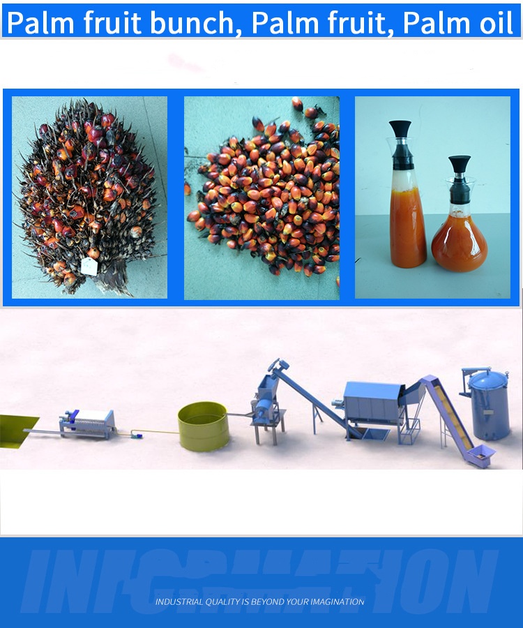 PALM-1 palm fruit oil press(图3)